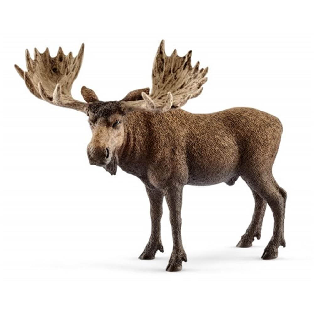 Schleich Moose Bull 14781